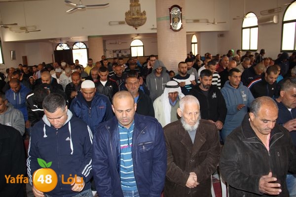 jarhoshuy msajed 0110 (4).JPG